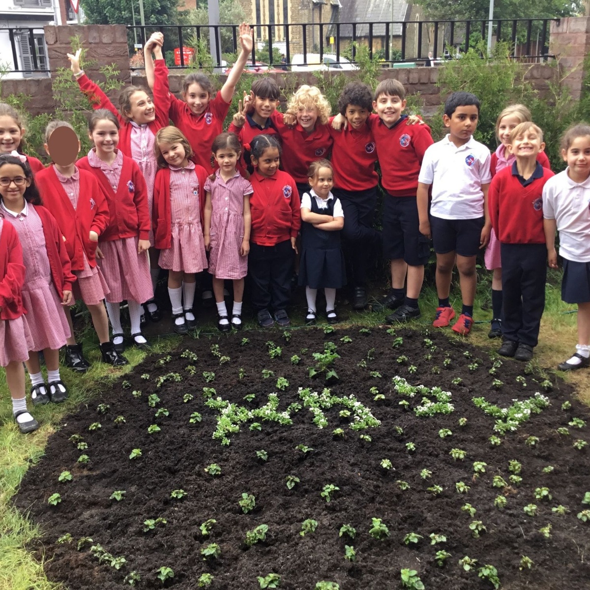 Alma Primary Greenery Growing